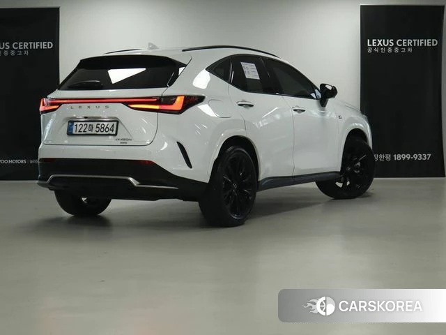 Lexus NX450h + 2nd generation 2025 Белый из Кореи, фото 6