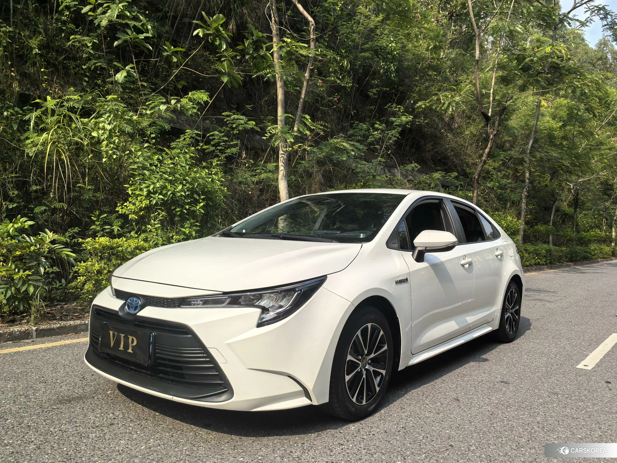Toyota Levin 2024 Белый из Китая, фото 2