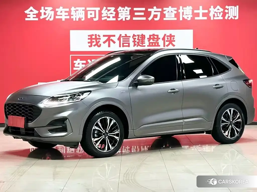 Ford Ruiji 2022 Silver/gray из Китая, фото 2