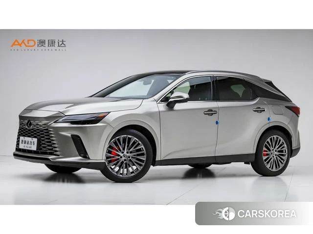 Lexus RX 2024 Серебристо-серый из Китая, фото 2