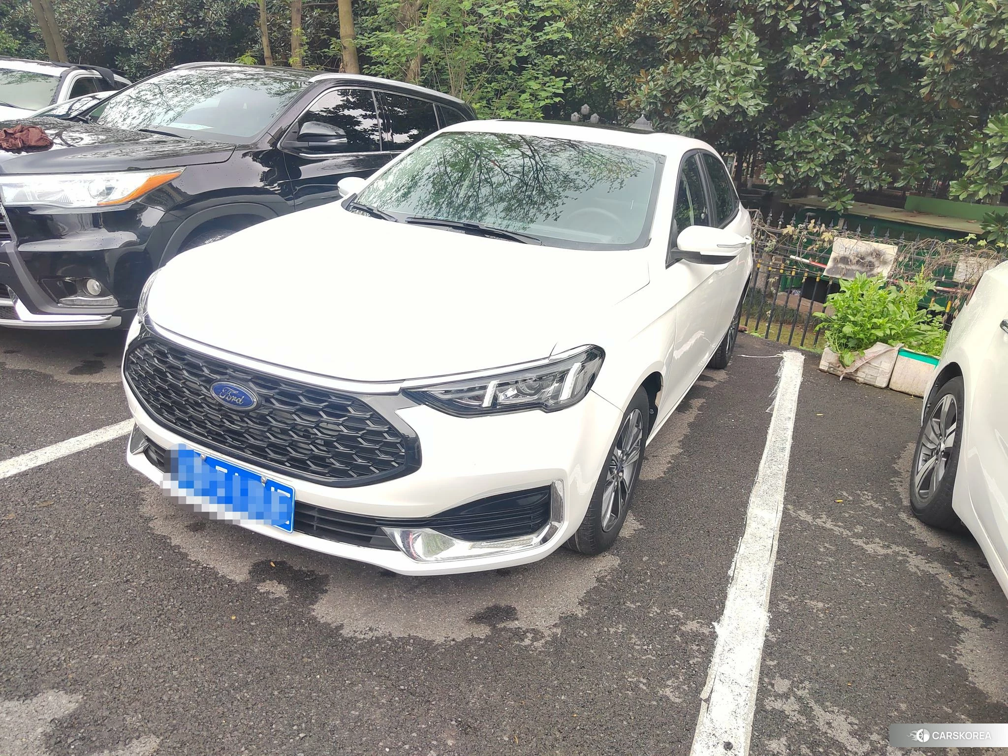 Ford Escort 2021 Белый из Китая, фото 2