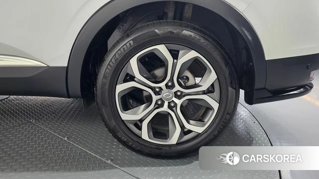 Renault Korea (Samsung) XM3 id 4959434 из Кореи 13
