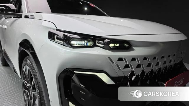 Renault Korea (Samsung) Filant id 4617278 из Кореи 14