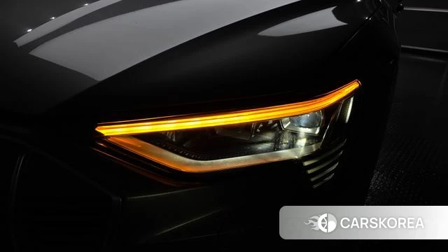Audi e-Tron id 4619851 из Кореи 14