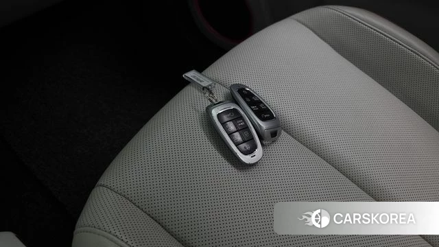 Hyundai Ionic 5 id 5027332 из Кореи 18
