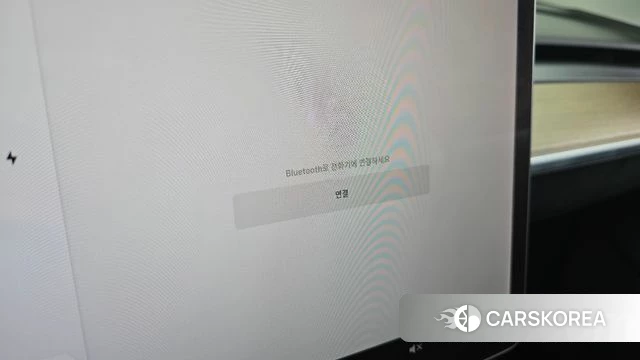 Tesla Model 3 id 4864472 из Кореи 19