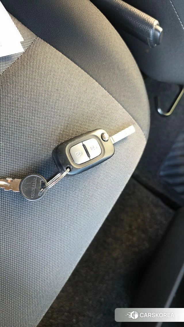 Renault Korea (Samsung) Master id 4930578 из Кореи 19