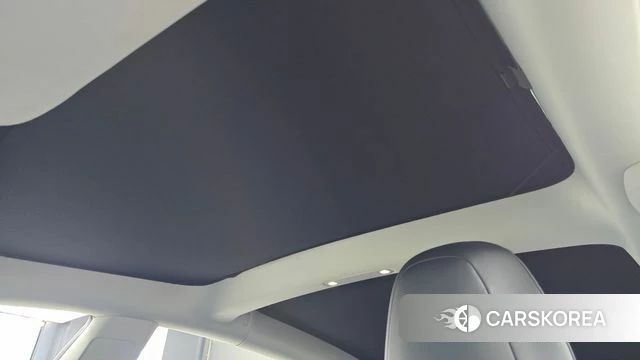 Tesla Model 3 id 4688080 из Кореи 19