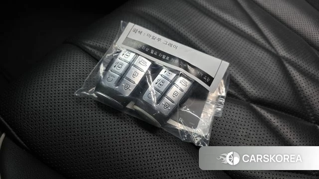 Genesis G80 (RG3) id 5031101 из Кореи 19