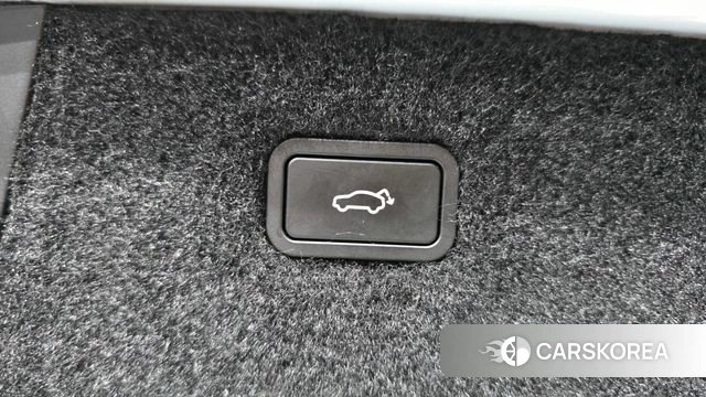 Polestar Polstar 4 id 4700576 из Кореи 19