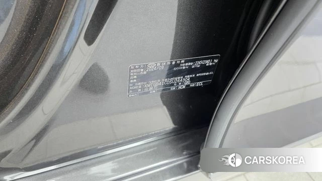 Genesis G80 (RG3) id 4916509 из Кореи 19