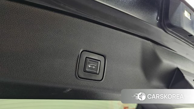 Chevrolet (GM Daewoo) Trailblazer id 5003314 из Кореи 19