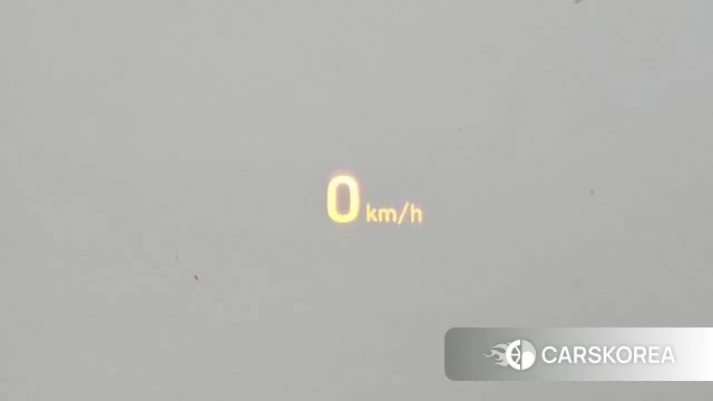 Hyundai Santa Fe TM id 5060864 из Кореи 19