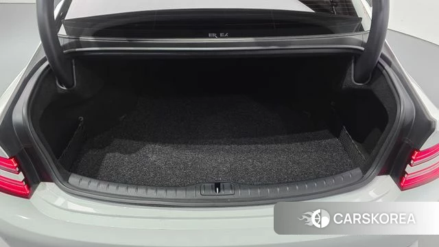 Genesis G80 (RG3) id 5023003 из Кореи 19