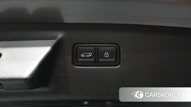 Hyundai Santa Fe (MX5) id 4964872 из Кореи 19