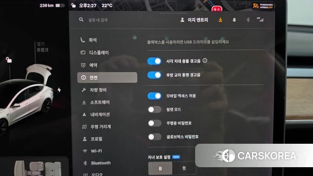 Tesla Model 3 id 4952513 из Кореи 19