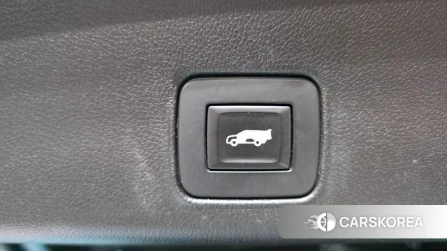 Chevrolet (GM Daewoo) Trailblazer id 4780334 из Кореи 19