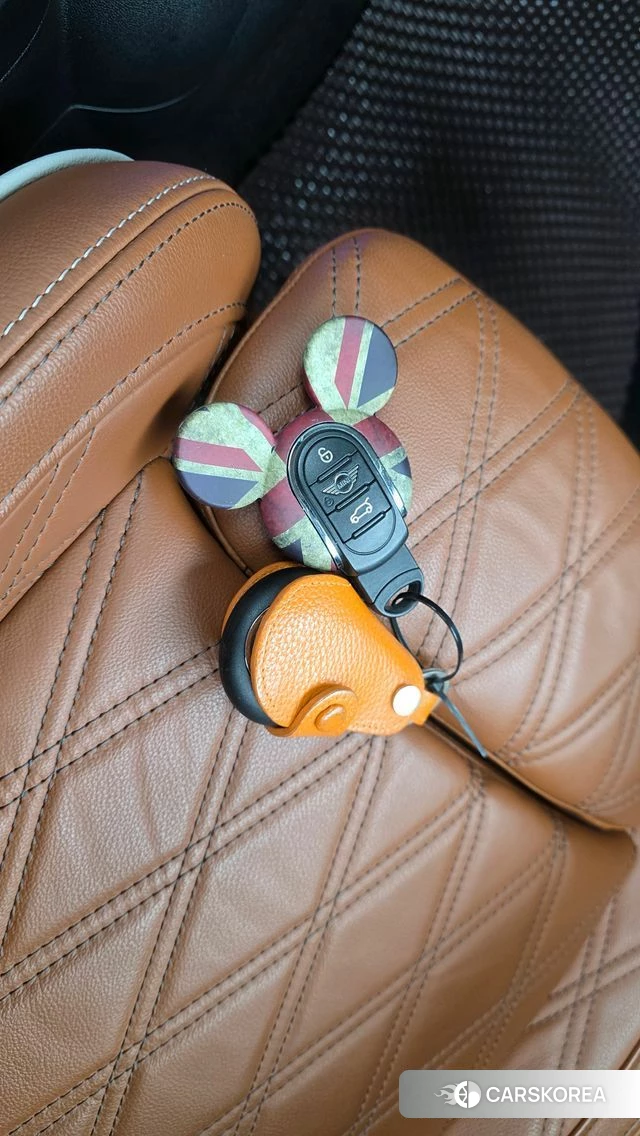 Mini Cooper S Convertible id 4899468 из Кореи 20
