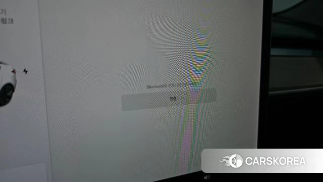 Tesla Model 3 id 4936772 из Кореи 20