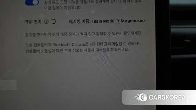 Tesla Model Y id 4975827 из Кореи 21