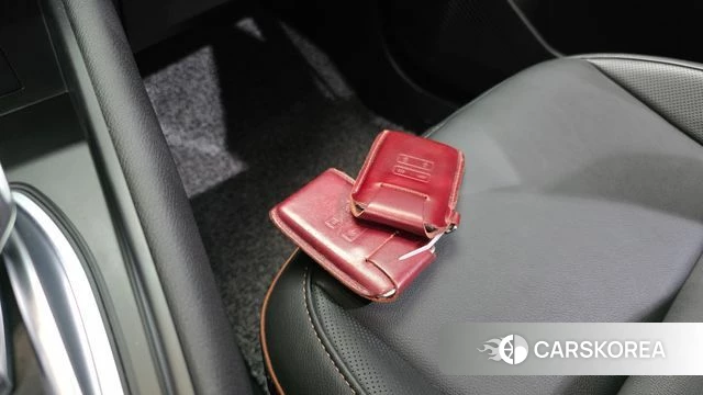 Renault Korea (Samsung) Capture id 4923272 из Кореи 21