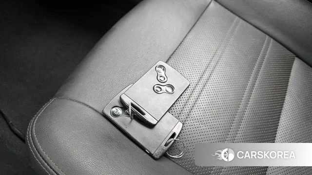 Renault Korea (Samsung) SM3 Neo id 4977811 из Кореи 21