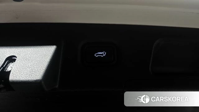 Hyundai Santa Fe TM id 4967799 из Кореи 21
