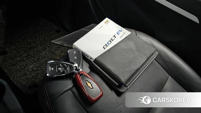 Chevrolet (GM Daewoo) Bolt EV id 4900779 из Кореи 21