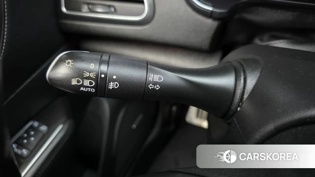 Renault Korea (Samsung) SM6 id 5004328 из Кореи 21