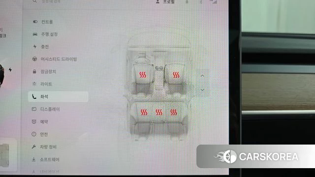 Tesla Model 3 id 5035304 из Кореи 22