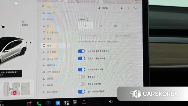Tesla Model 3 id 5017805 из Кореи 22