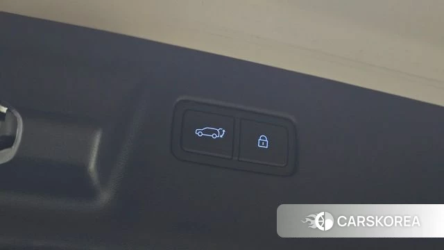 Hyundai Santa Fe (MX5) id 5026650 из Кореи 22