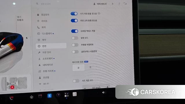 Tesla Model Y id 4864000 из Кореи 22