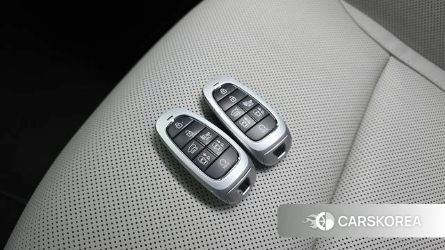 Hyundai Tucson Hybrid (NX4) id 4958183 из Кореи 22