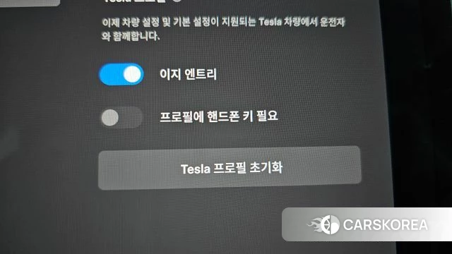 Tesla Model 3 id 4981621 из Кореи 22