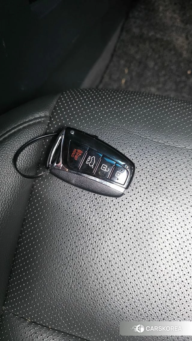 Hyundai Santa Fe The Prime id 5042201 из Кореи 22
