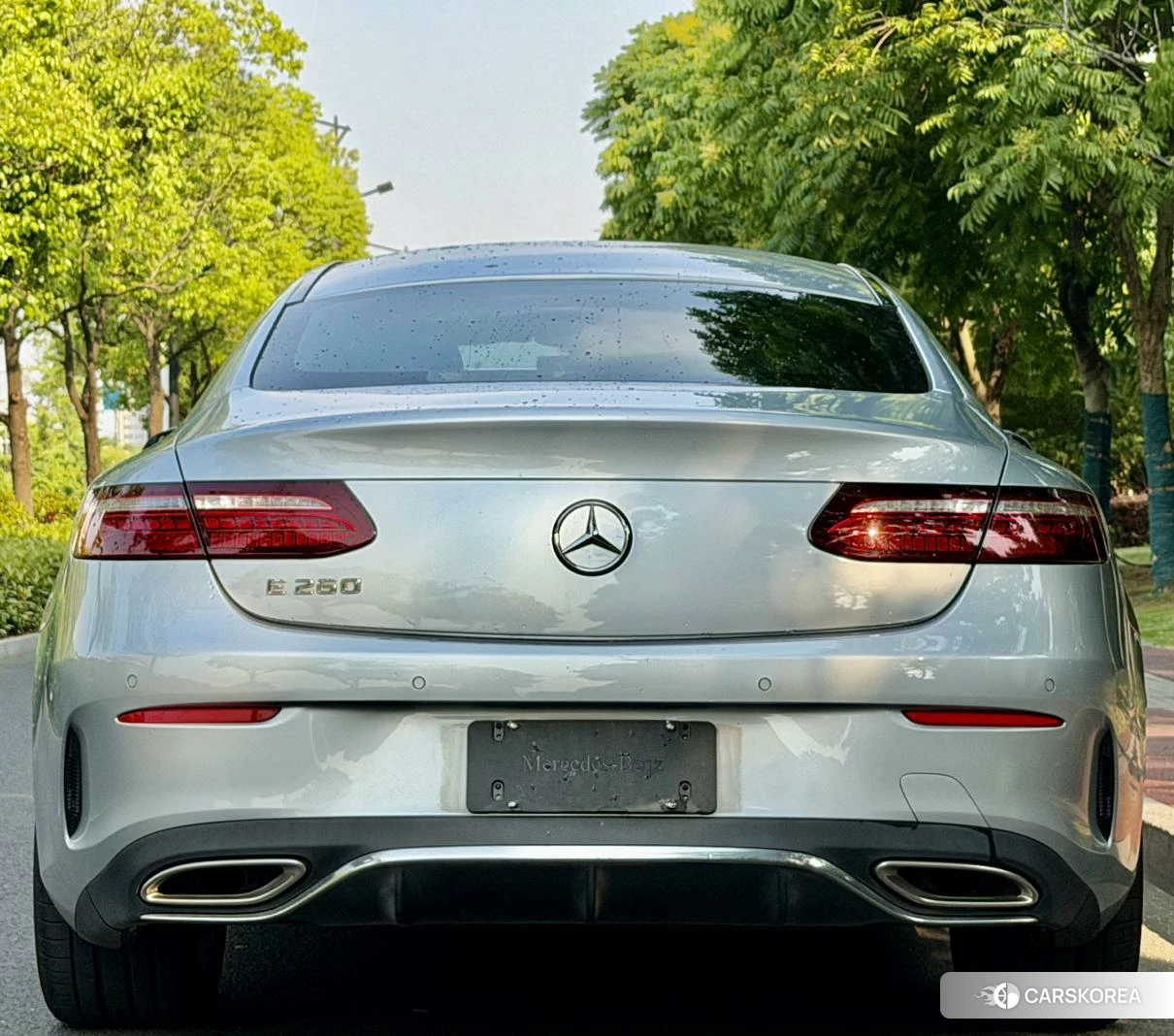 Mercedes-Benz E-Class 2019 Темно-серый из Китая, фото 4