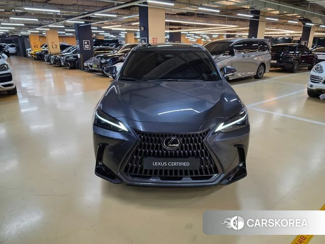 Lexus NX450h + 2nd generation id 5026751 из Кореи 10