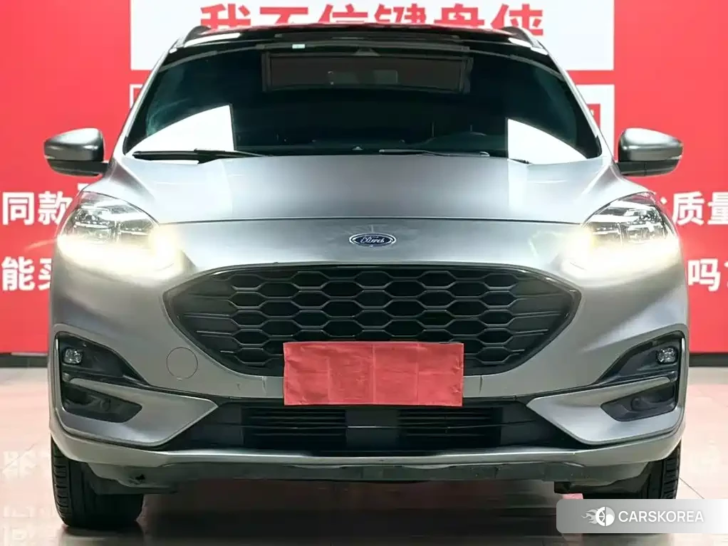 Ford Ruiji 2022 Silver/gray из Китая, фото 3