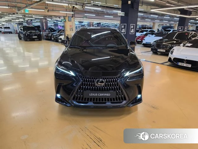 Lexus NX350h Second generation id 5025985 из Кореи 11