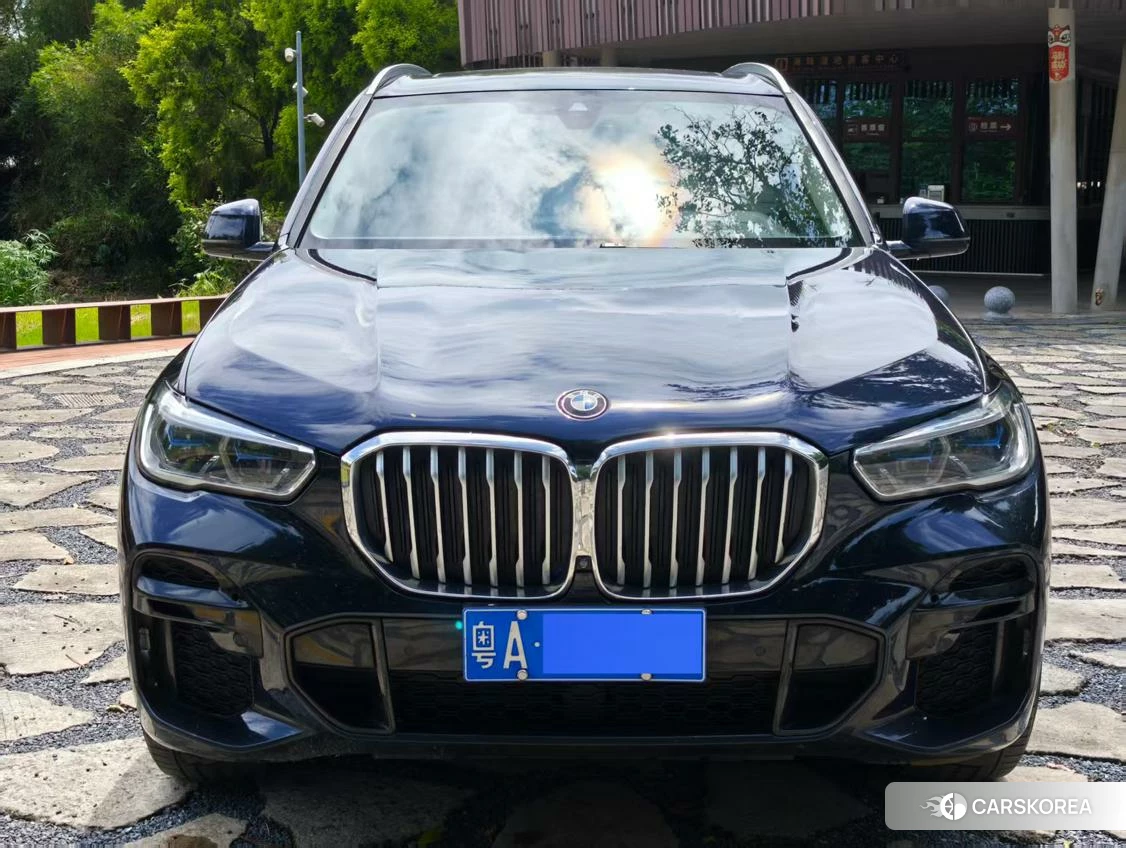 BMW X5 2021 Синий из Китая, фото 4