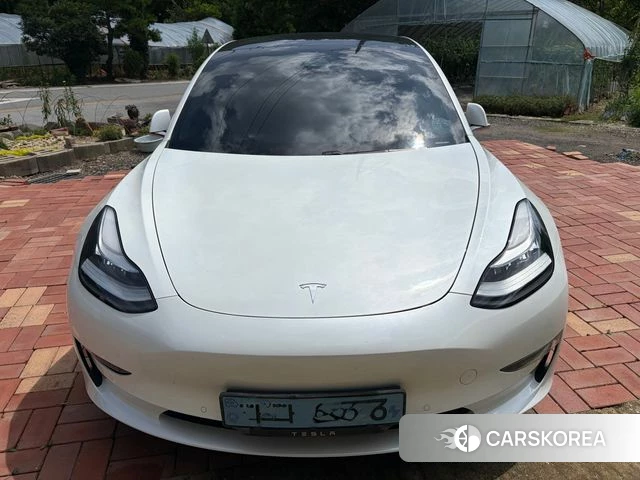 Tesla Model 3 2020 Белый из Кореи, фото 3