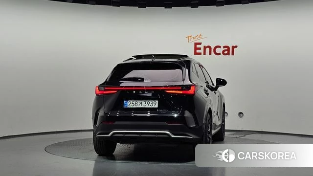 Lexus NX450h + 2nd generation id 4990596 из Кореи 23
