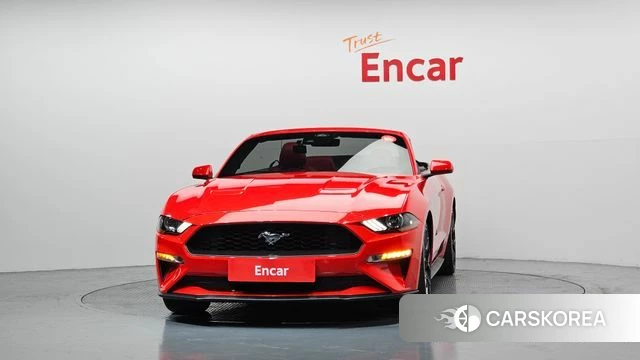 Ford Mustang id 3811543 из Кореи 13