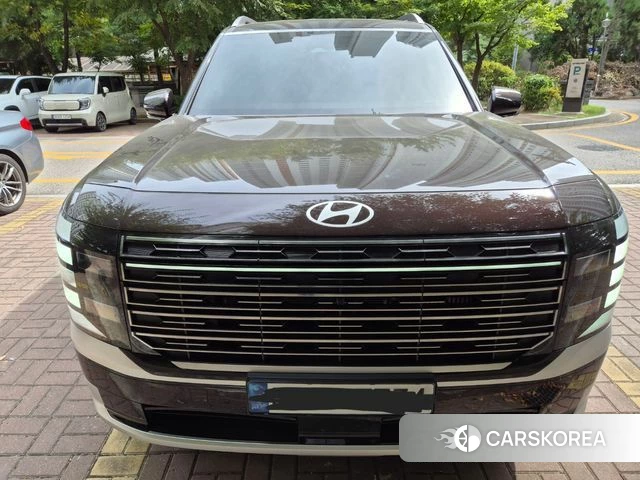 Hyundai Palisade (LX3) 2026 Цвет тростника из Кореи, фото 3