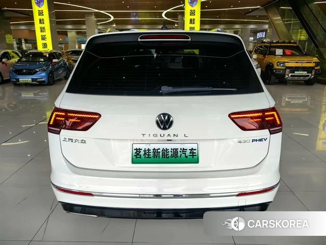 Volkswagen Tiguan L 2021 Белый из Китая, фото 6