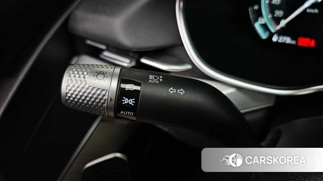 Genesis Electrified G80 (RG3) id 4921814 из Кореи 24