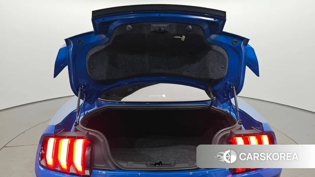 Ford Mustang id 4987398 из Кореи 24