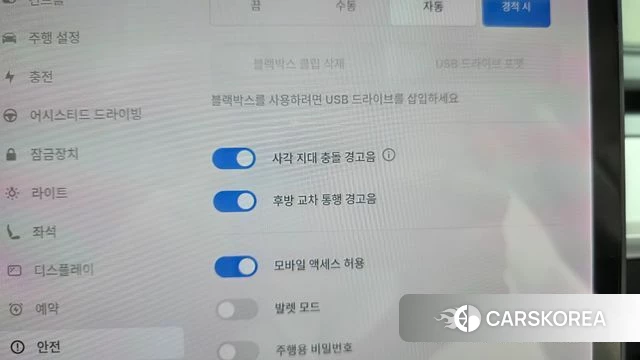 Tesla Model 3 id 4836629 из Кореи 24