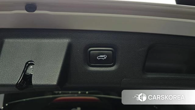 Hyundai Santa Fe TM id 4960251 из Кореи 24